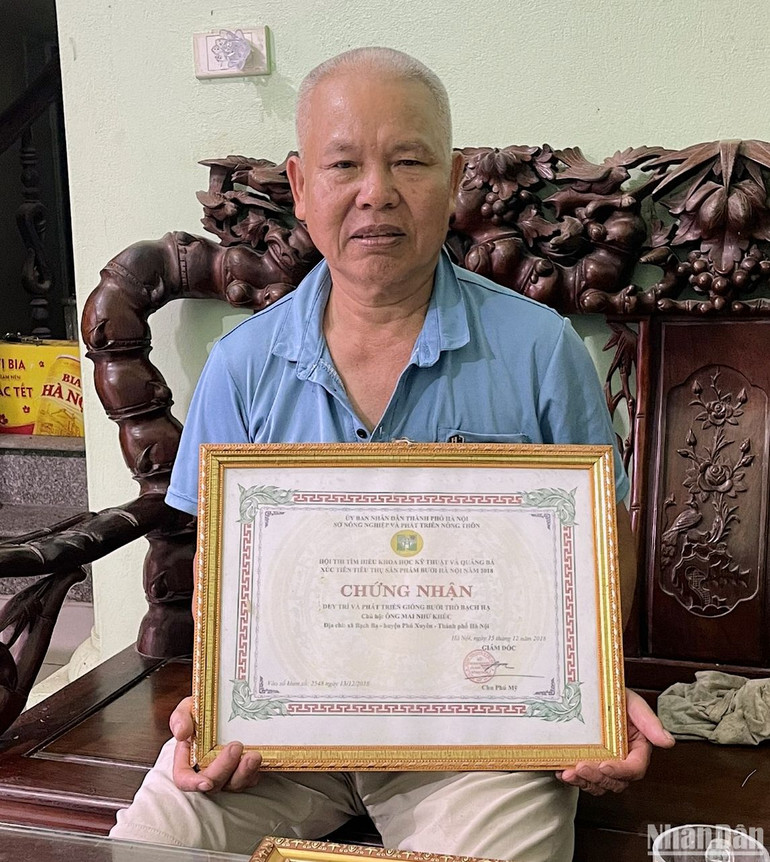 Ông Mai Như Khúc được Sở Nông nghiệp thành phố Hà Nội trao bằng chứng nhận có công trong việc duy trì và phát triển giống bưởi thồ đặc sản của địa phương.