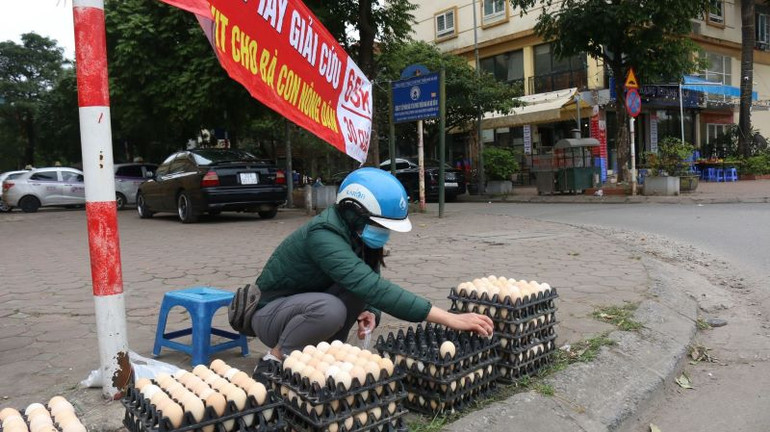 Việc treo biển giải cứu cùng với đó là việc hạ giá thành trứng đã đánh trúng tâm lý nhiều người tiêu dùng. Việc treo biển giải cứu cùng với đó là việc hạ giá thành trứng đã đánh trúng tâm lý nhiều người tiêu dùng.