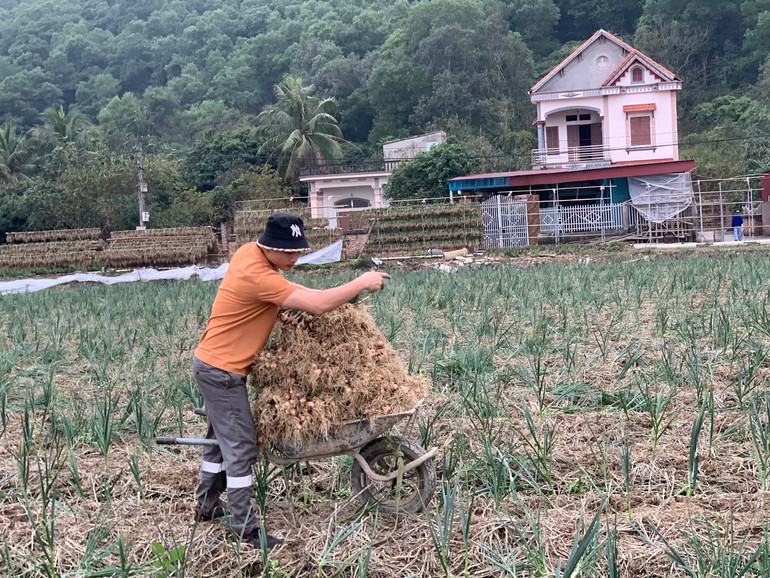 Phát triển kinh tế nâng cao thu nhập của người dân nông thôn vẫn là ưu tiên cốt lõi của Chương trình nông thôn mới.