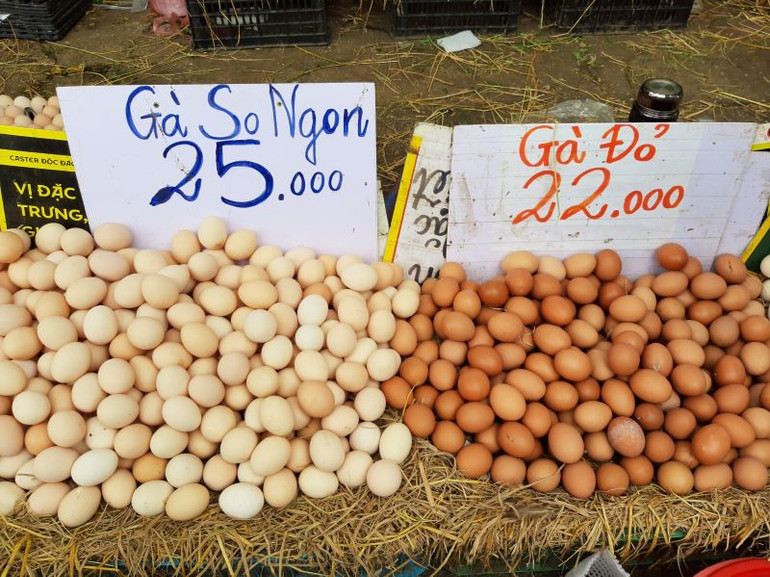 Cần kiểm tra nguồn gốc và xác định sản phẩm trứng đủ tiêu chuẩn cung cấp ra thị trường. Cần kiểm tra nguồn gốc và xác định sản phẩm trứng đủ tiêu chuẩn cung cấp ra thị trường.