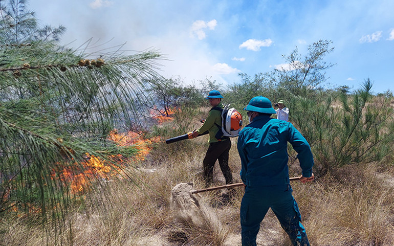 Lực lượng chức năng huyện Quảng Ninh (Quảng Bình) dập lửa trong vụ cháy rừng trên cát ở thôn Hà Thiệp, xã Võ Ninh trưa 5/7. Lực lượng chức năng huyện Quảng Ninh (Quảng Bình) dập lửa trong vụ cháy rừng trên cát ở thôn Hà Thiệp, xã Võ Ninh trưa 5/7.