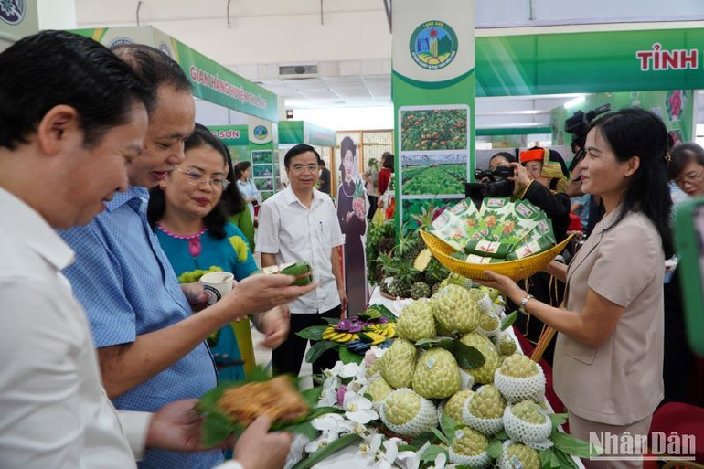 Năm 2023, diện tích trồng na của huyện Chi Lăng ước đạt trên 2.300ha, sản lượng ước đạt 20.000 tấn (bao gồm cả na trái vụ), doanh thu ước đạt 700 tỷ đồng; diện tích na trồng theo tiêu chuẩn GlobalGAP đạt 35ha, sản xuất theo tiêu chuẩn VietGAP đạt 800 ha.