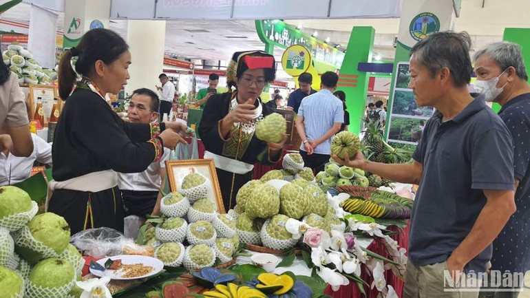 Đến hết năm 2023, có 3 sản phẩm na Chi Lăng của thị trấn Đồng Mỏ và xã Chi Lăng, xã Y Tịch đạt chứng nhận sản phẩm OCOP 4 sao; 1 sản phẩm na Chi Lăng của thị trấn Chi Lăng đạt chứng nhận sản phẩm OCOP 3 sao.