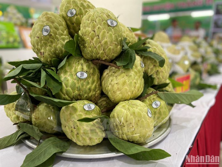 Na Chi Lăng, trái cây được thị trường trong nước rất ưa chuộng và đang vươn mạnh sang thị trường các quốc gia như: Trung Quốc, Australia, Nhật Bản, Hàn Quốc… và được đánh giá cao về mẫu mã cũng như chất lượng.