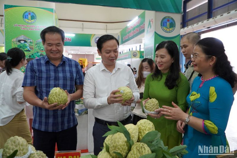 Theo bà Đinh Thị Thu, Phó Giám đốc Sở Nông nghiệp và Phát triển nông thôn tỉnh Lạng Sơn, Lạng Sơn có 4.000ha na, lớn nhất cả nước. Sản phẩm sản xuất theo tiêu chuẩn VietGAP đã được gắn tem nhận diện. Tỉnh cũng đã xây dựng mã số vùng trồng để bảo đảm điều kiện xuất khẩu. Đây là một trong những sản phẩm có thế mạnh của tỉnh.