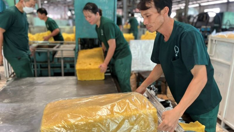 Công nhân chế biến mủ cao-su xuất khẩu tại Công ty cao-su Ea H'Leo. Công nhân chế biến mủ cao-su xuất khẩu tại Công ty cao-su Ea H'Leo.