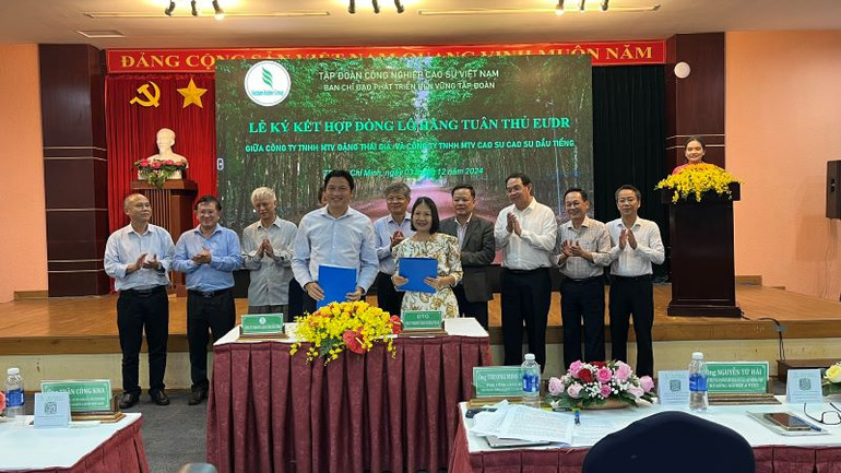 Công ty Cao-su Dầu Tiếng và Công ty Đặng Thái Gia ký kết hợp đồng mua bán mủ cao-su đáp ứng EUDR.