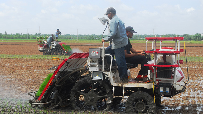 Máy cấy lúa được đưa vào áp dụng nhiều năm tại xã Tăng Hòa, huyện Gò Công Đông (Tiền Giang).