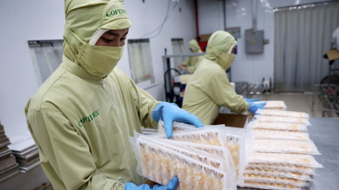 Đóng gói sản phẩm tôm chế biến xuất khẩu. (Ảnh: Hồng Đạt/TTXVN)