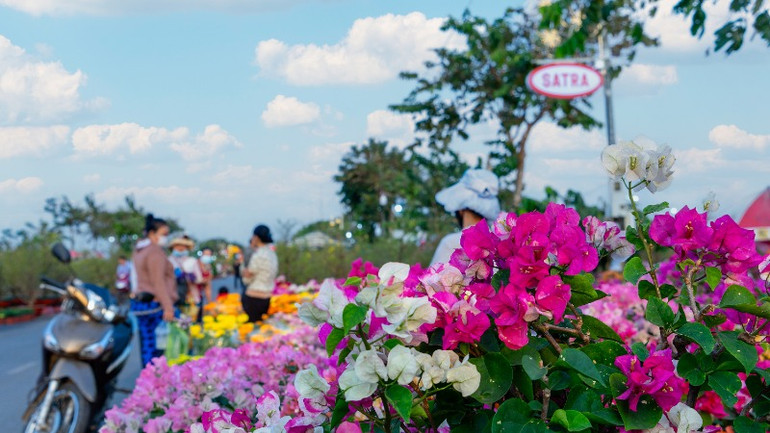 Hoa là phần không thể thiếu trong không khí Tết của người Việt Nam. Ảnh: SATRA