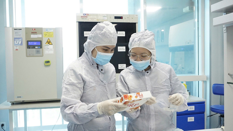 Giảng viên, sinh viên Đại học Quốc gia Thành phố Hồ Chí Minh trong giờ nghiên cứu (ảnh: CTV).