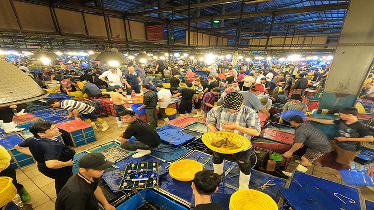 Chợ đầu mối Nông sản Thực phẩm Bình Điền cung cấp gần 80% hải sản tươi sống cho Thành phố Hồ Chí Minh và các khu vực lân cận.