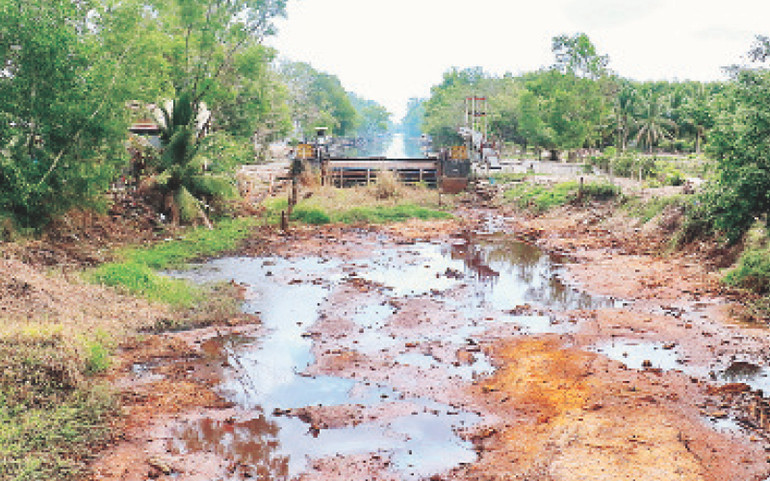 Kênh, rạch vùng ngọt huyện Trần Văn Thời (tỉnh Cà Mau) khô cạn vì hạn hán gay gắt.