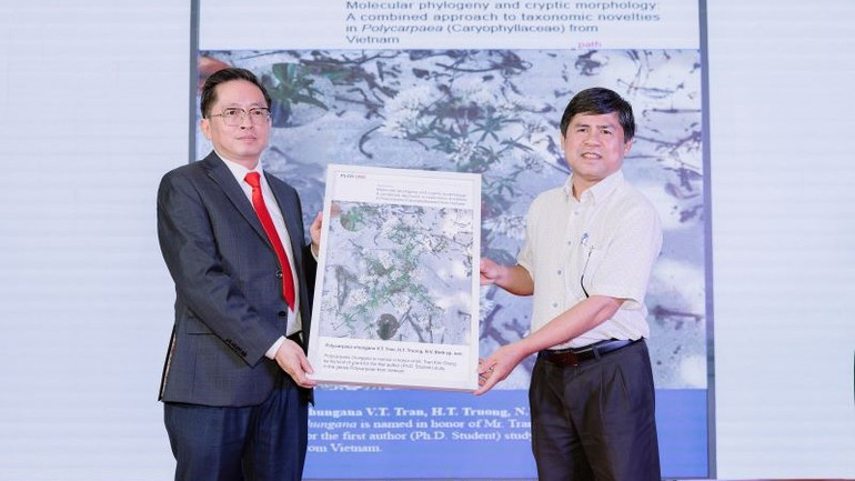 Phó Giáo sư, Tiến sĩ Trần Văn Tiến, Đại học Đà Lạt tặng bức ảnh loài hoa hoàn toàn mới, được đặt theo tên của Chủ tịch Tập đoàn CT Group. Phó Giáo sư, Tiến sĩ Trần Văn Tiến, Đại học Đà Lạt tặng bức ảnh loài hoa hoàn toàn mới, được đặt theo tên của Chủ tịch Tập đoàn CT Group.