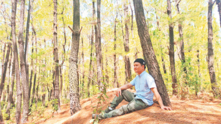 Phút nghỉ ngơi dưới tán rừng thông.