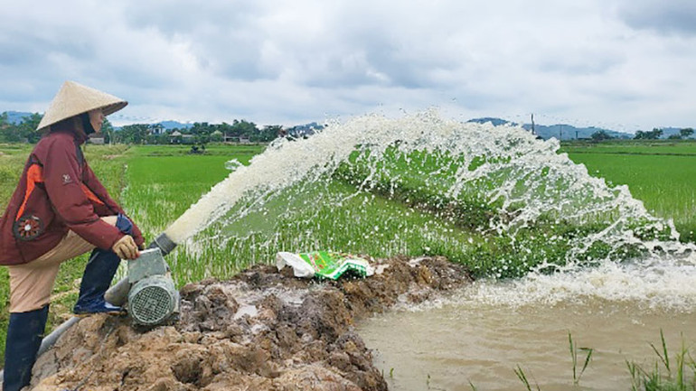Người dân xã Sơn Lộc, Can Lộc (Hà Tĩnh) phấn khởi đón nước chăm sóc lúa hè thu.