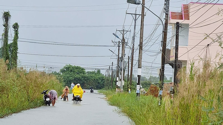 Đường vào khu nhà ở xã hội, dự án khu dân cư Thiên Long, thành phố Bạc Liêu hễ mưa là ngập nước. (Ảnh: CTV)