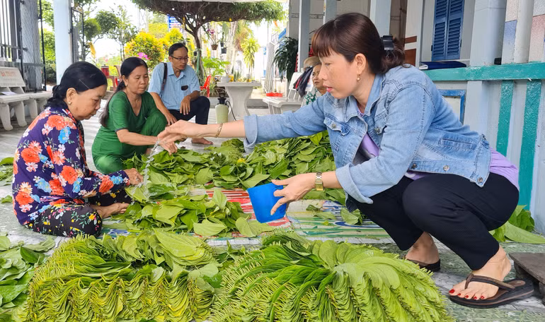 Chọn lựa và sắp ốp trầu trước khi giao bán cho thương lái.