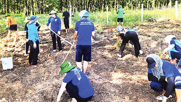 Tham gia hỗ trợ cải tạo vườn rau cho người dân. Tham gia hỗ trợ cải tạo vườn rau cho người dân.