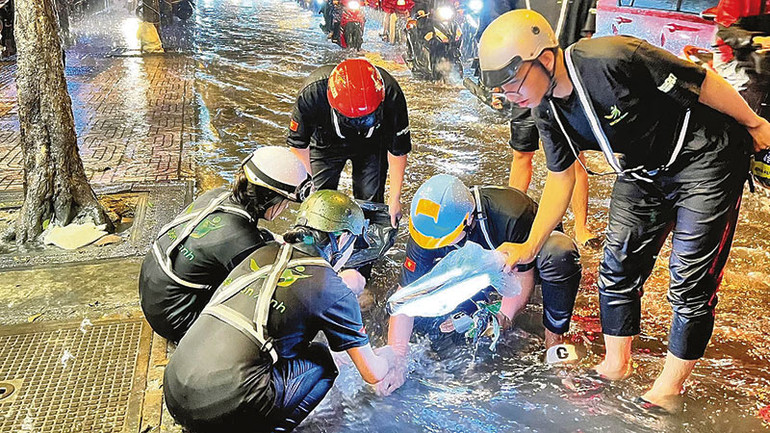Các thành viên nhóm Sài Gòn Xanh thu dọn rác, hạn chế tắc ngập cống trong mùa mưa bão.