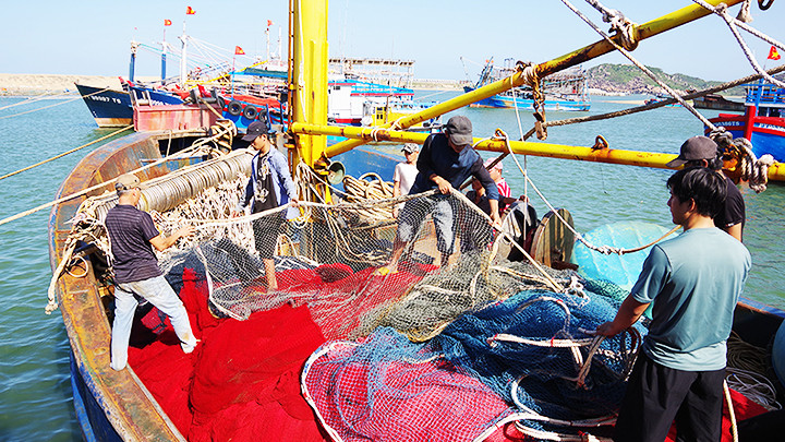 Ngư dân chuẩn bị lưới đi đánh bắt.