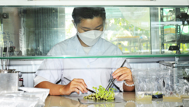 Cần có thêm các chính sách ưu đãi để sinh viên theo học ngành khoa học cơ bản. Ảnh: TTXVN