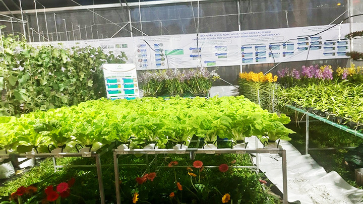 Một trung tâm nghiên cứu, sản xuất công nghệ sinh học của TP Hồ Chí Minh. Ảnh: THÀNH HÀ