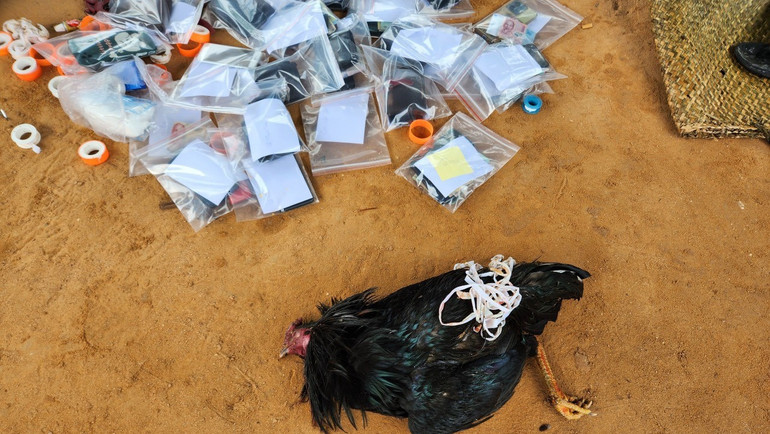 Tang vật liên quan tới việc đá gà ăn tiền. Tang vật liên quan tới việc đá gà ăn tiền.