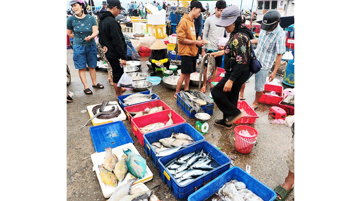 Chợ cá họp thường xuyên tại cầu cảng. Chợ cá họp thường xuyên tại cầu cảng.