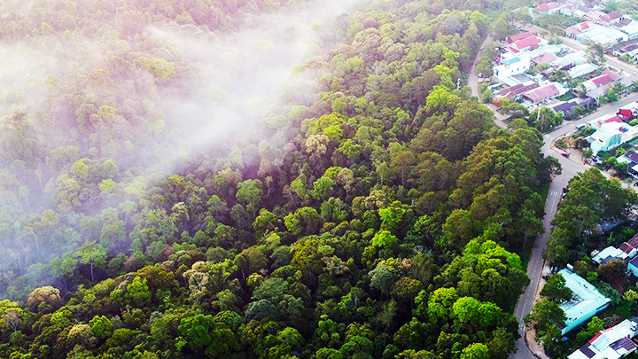 Nhiệt độ quanh năm mát mẻ giúp Măng Đen trở thành điểm đến của nhiều du khách. Nhiệt độ quanh năm mát mẻ giúp Măng Đen trở thành điểm đến của nhiều du khách.