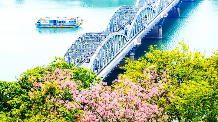 Hoa ngô đồng ở Công viên Thương Bạc. Ảnh: ĐÌNH HOÀNG