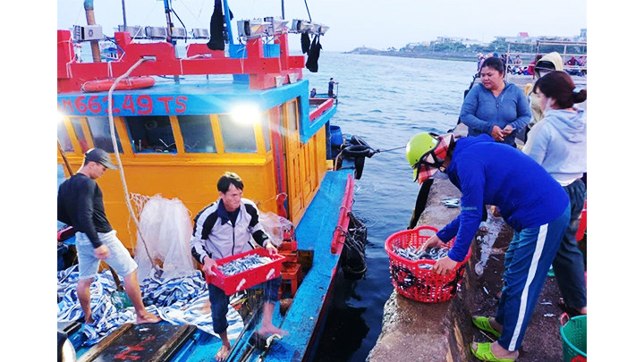 Lý Sơn được biết đến là địa bàn đánh bắt hải sản có quy mô. Lý Sơn được biết đến là địa bàn đánh bắt hải sản có quy mô.