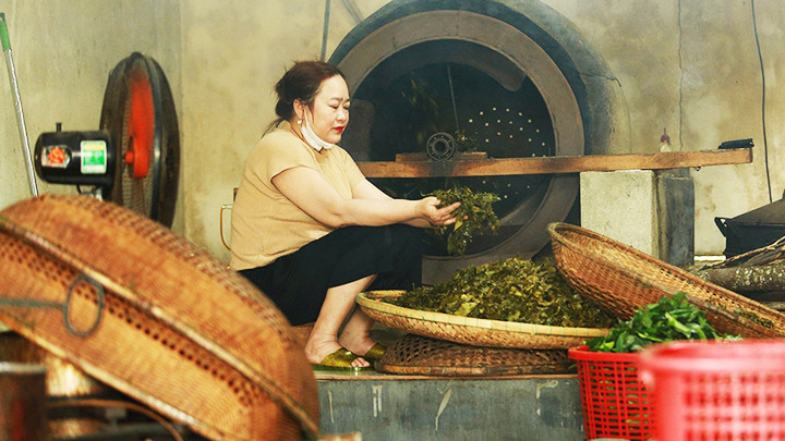 Quy trình sấy lá chè. Quy trình sấy lá chè.