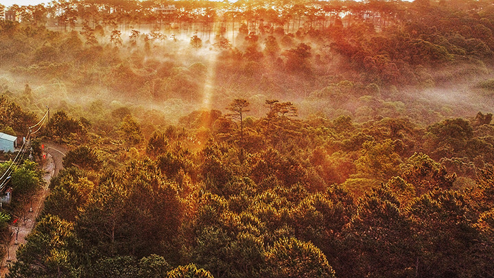 Những tia nắng đầu ngày. Những tia nắng đầu ngày.