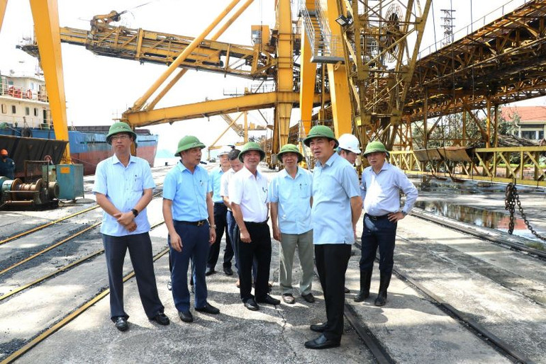 Bí thư Đảng ủy, Chủ tịch Hội đồng thành viên Tập đoàn TKV Ngô Hoàng Ngân (trên cùng) kiểm tra tình hình sản xuất tại Công ty Tuyển than Cửa Ông.