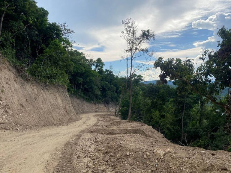 Nhà thầu thi công thuê tuyến đường dân sinh làm đường công vụ, do giấy tờ Nhà nước cấp thể hiện diện tích hoàn toàn nằm trong phần đất trồng rừng sản xuất.