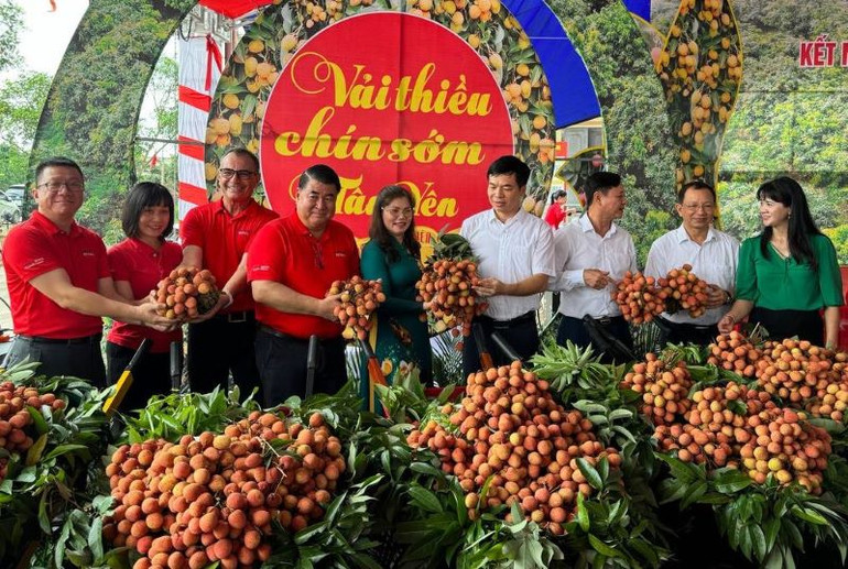 Ban lãnh đạo Tập đoàn Central Retail trực tiếp tham gia xúc tiến tiêu thụ vải thiều Tân Yên.