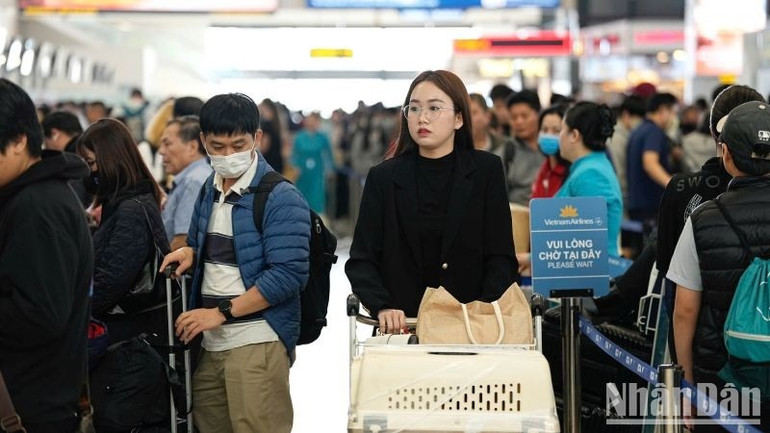 Theo thống kê, tổng thị trường vận chuyển hàng không trong dịp cao điểm Tết Nguyên đán đạt gần 7,3 triệu hành khách, tăng 11,7% so với cùng kỳ 2024.