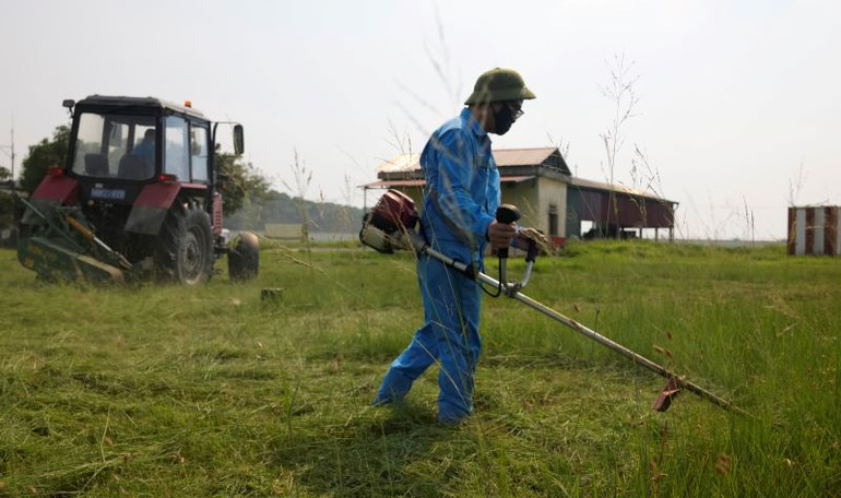 Dọn dẹp, phát cỏ tại khu vực chung quanh sân đỗ.