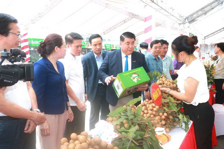 Đại diện tập đoàn Central Retail Việt Nam trao đổi với đại diện các Hợp tác xã về cách thức đóng gói, xây dựng thương hiệu cho nhãn Hưng Yên.