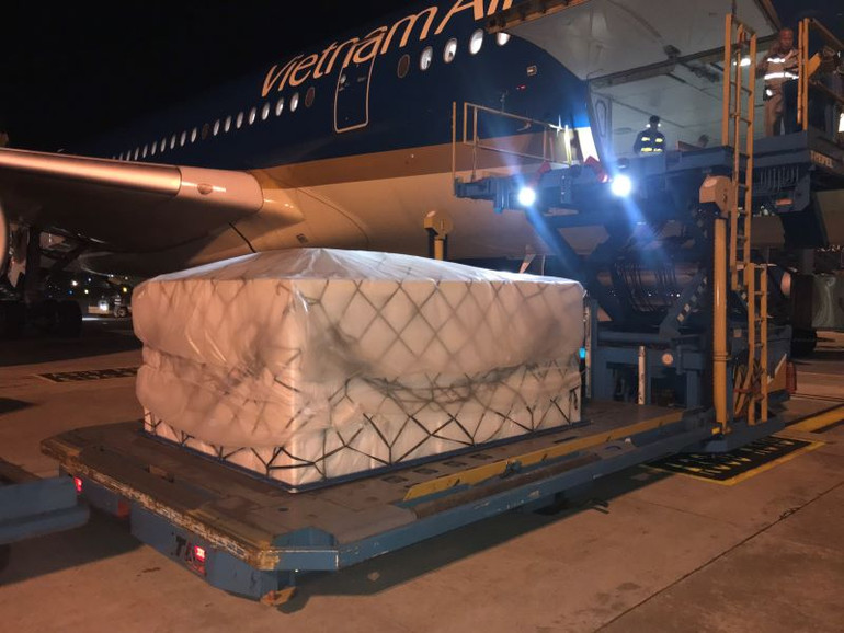 Chất xếp vải quả xuất khẩu lên tàu bay vận chuyển đi quốc tế.