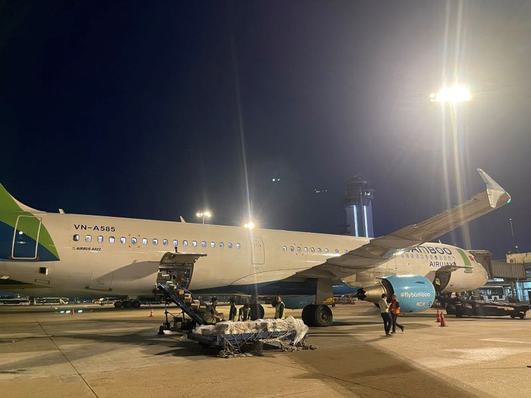 Các chuyến bay QH278 (khởi hành lúc 20 giờ 35 phút) và QH286 (khởi hành lúc 22 giờ 20 phút) tại Thành phố Hồ Chí Minh, sau khi hạ cánh tại sân bay Nội Bài đã được đại diện Bamboo Airways đón hàng, bàn giao cho đại diện VACIP tại Hà Nội.