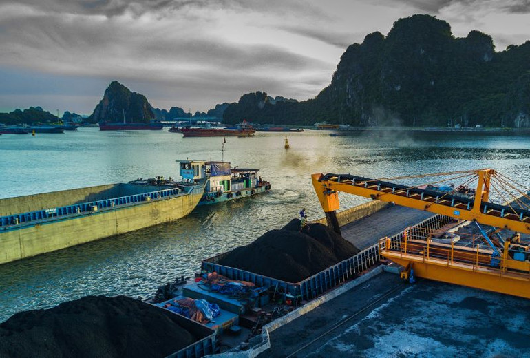 Tiêu thụ than vùng Hạ Long