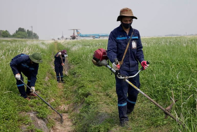 Nhân viên dọn cỏ, nạo vét lòng mương phòng tránh mưa lớn gây ngập úng.