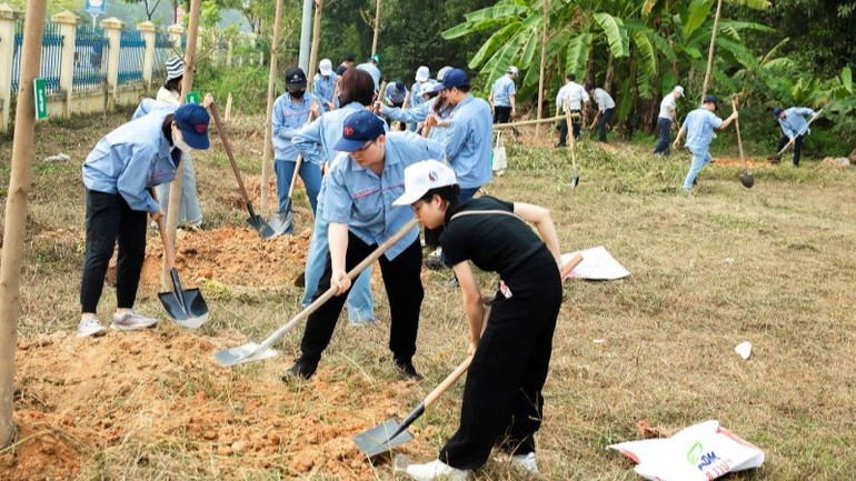 Sau 4 năm triển khai, chương trình đã thực hiện trồng và trao tặng tổng cộng hơn 31.500 cây tại 8 tỉnh thành trên cả nước. Sau 4 năm triển khai, chương trình đã thực hiện trồng và trao tặng tổng cộng hơn 31.500 cây tại 8 tỉnh thành trên cả nước.