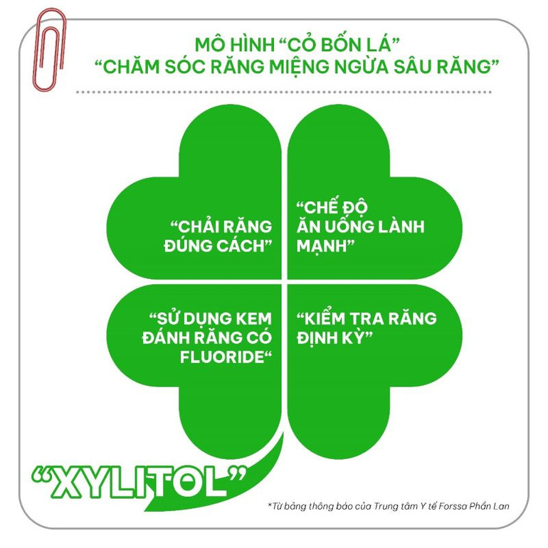 Mô hình “cỏ bốn lá" – một tập hợp các “thói quen thông minh” phổ biến như đánh răng đúng cách; áp dụng chế độ ăn uống lành mạnh; sử dụng kem đánh răng có Fluoride hay thăm khám răng định kỳ.