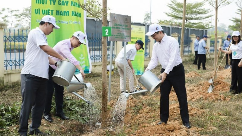 TMV trồng và trao tặng 159 cây bàng Đài Loan tại sân vận động thị trấn Tam Sơn, huyện Sông Lô, tỉnh Vĩnh Phúc. TMV trồng và trao tặng 159 cây bàng Đài Loan tại sân vận động thị trấn Tam Sơn, huyện Sông Lô, tỉnh Vĩnh Phúc.