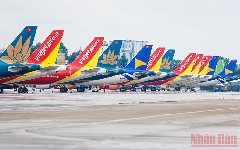 Thị trường vận chuyển hàng không nội địa nước ta có 5 hãng hàng không tham gia, vẫn có doanh nghiệp chiếm thị phần hơn 30%, giữ vị trí thống lĩnh thị trường.