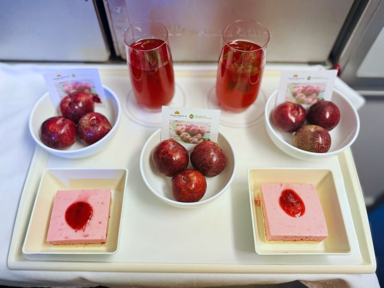 Để mang đến những trái mận hậu chất lượng nhất cho hành khách, Vietnam Airlines áp dụng quy trình lựa chọn, kiểm định nghiêm ngặt.