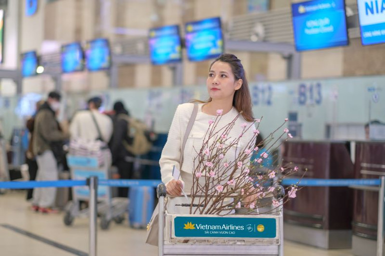 Vietnam Airlines không nhận vận chuyển các loại cây cảnh, cây hoa và các loại cây khác có chậu/bọc bầu đất dưới dạng hành lý ký gửi.